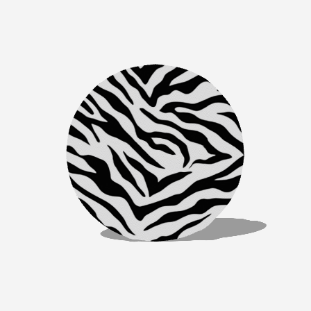 Round Outdoor Area Rug Zebra